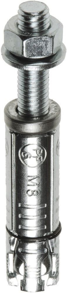 FIS Profi Keilbout Verzinkt 10x60mm 10st-291366