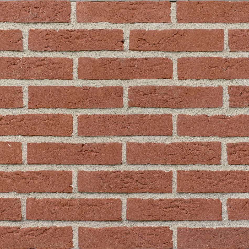 Wienerberger Waalformaat gevelsteen waalrood roodbruin handvorm Wolfswaard 210x100x50mm-298364