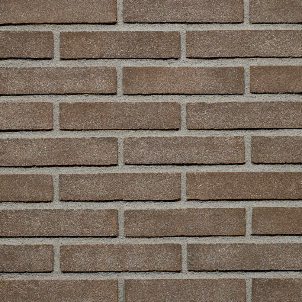 Wienerberger Gevelsteen Bruin Zwart Vormbak Waalformaat 210x100x50mm-379352