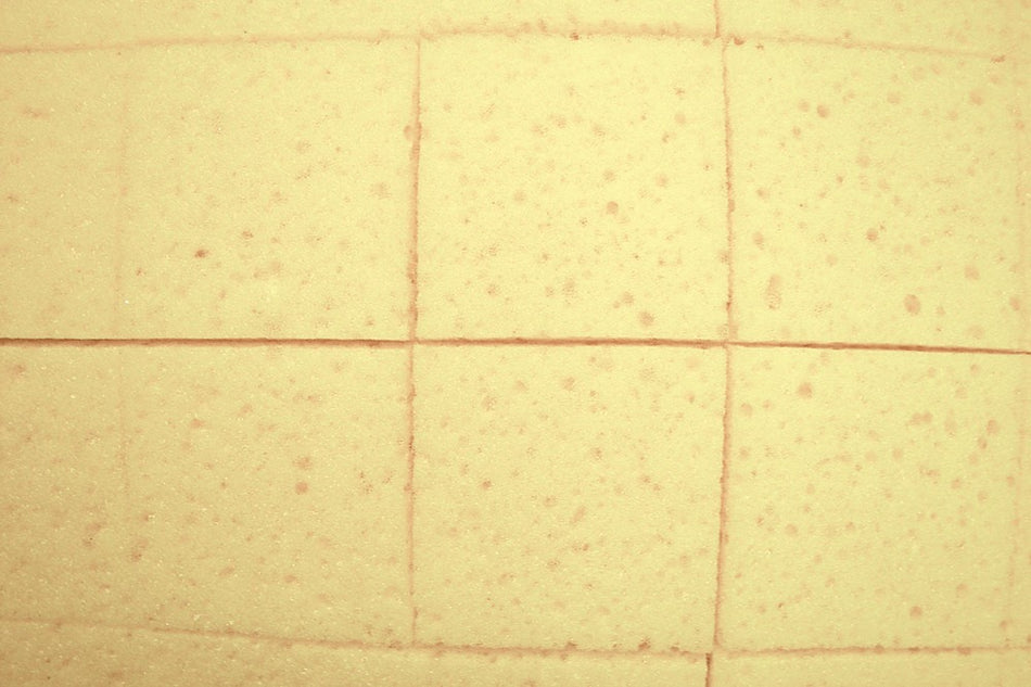 Super Prof Schoonmaakspons Kunststof 4mm Ingesneden Compleet Met Handgreep-453792