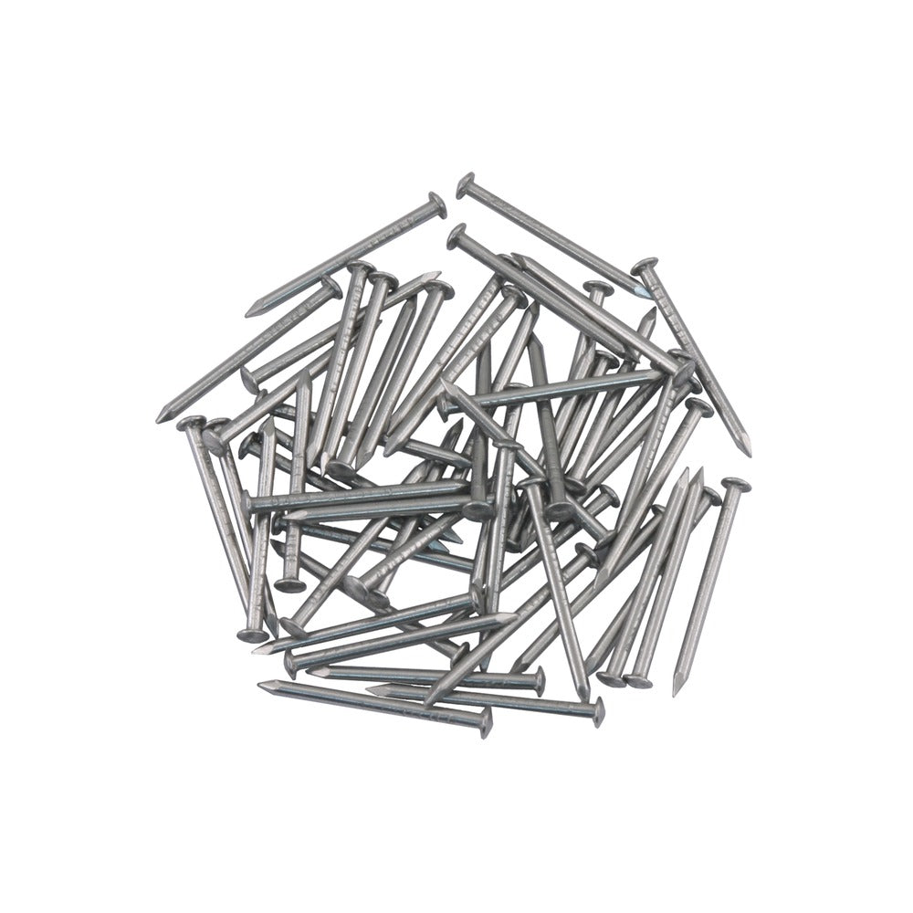Ellen Tochtstripnagel RVS 25x16mm 55stuks-542503