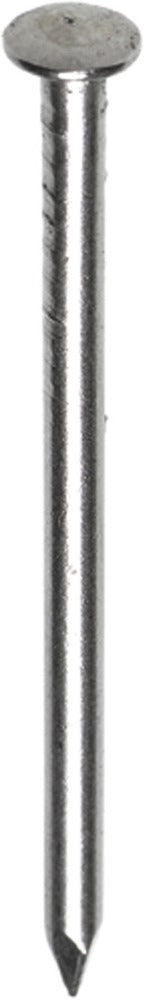 HJZ Profi Nagel Bombé Kop RVS-556504