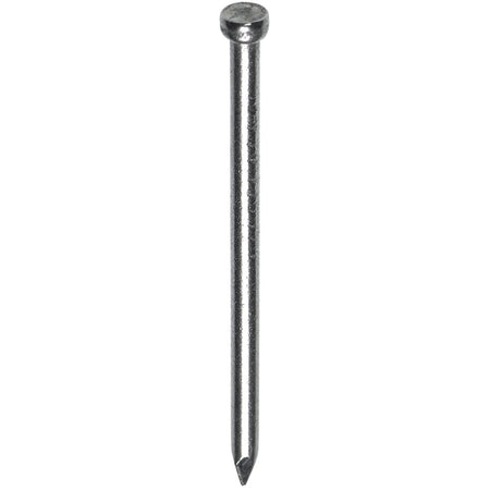 HJZ Profi Nagel Verloren Kop RVS-558611