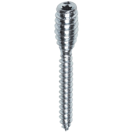 FIS Profi Afstandschroef Verzinkt 6mm T25-570068