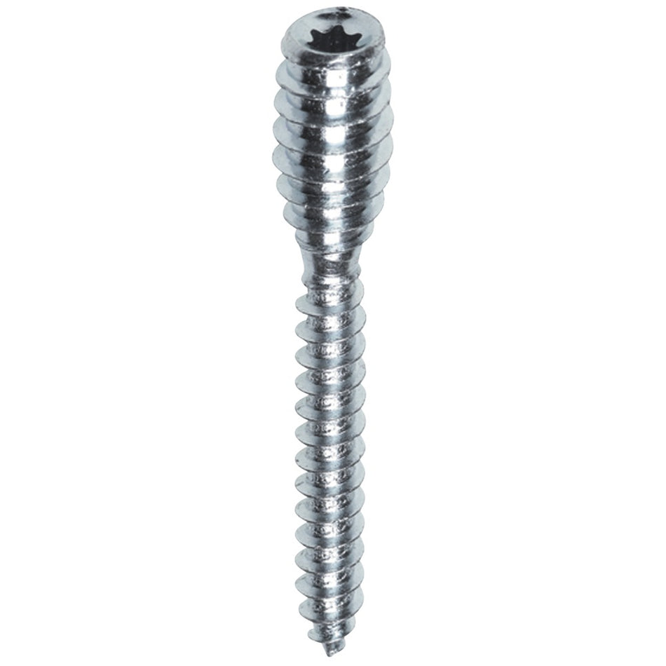 FIS Profi Afstandschroef Verzinkt 6mm T25-570068
