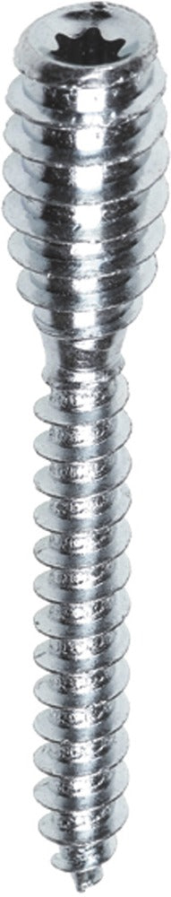 FIS Profi Afstandschroef Verzinkt 6mm T25-570069