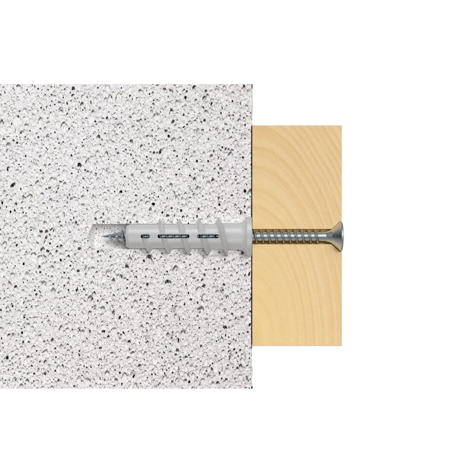 fischer Cellenbetonanker FTP 4K 25st-570721