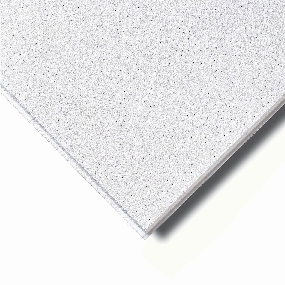 Agnes One-Step Plafondplaat Stuc Wit Vochtwerend 620x1220x12mm 4st 70% PEFC-575254