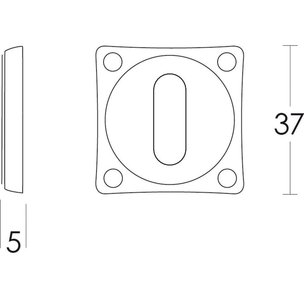 Intersteel Rozet Met Sleutelgat Vierkant Basic Nikkel Mat-727748