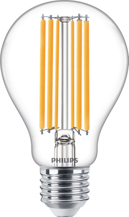 Philips LED Lamp Peer 120W E27 Warmwit Helder-757981