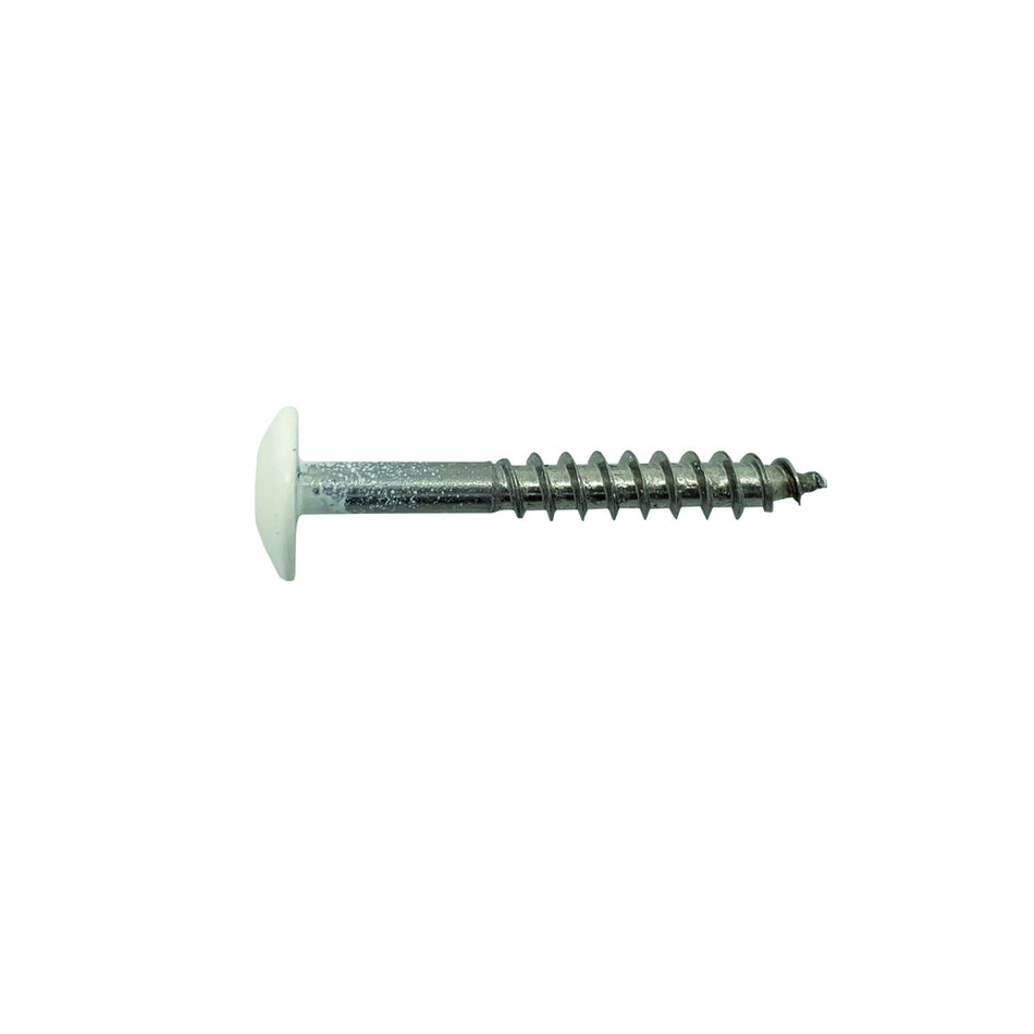 Bouwmaat HPL Schroef RVS Gebroken Wit 4,8mm T20 100st-784610