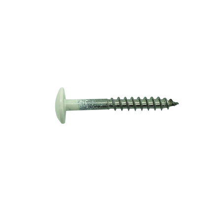 Bouwmaat HPL Schroef RVS Crème 4,8mm T20 100st-784611