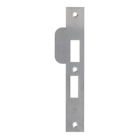 Nemef Sluitplaat P4000/17 RVS 29x196mm Rechthoekig DR 2+4-820776