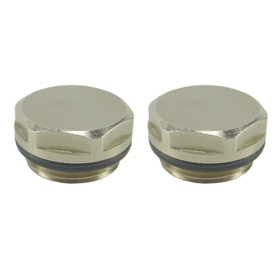 Riko Radiatorstop Blind Met O-Ring 1/2" 2st-822864