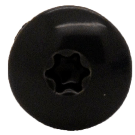 Bouwmaat HPL Schroef RVS Zwart 4,8mm T20 100st-921083