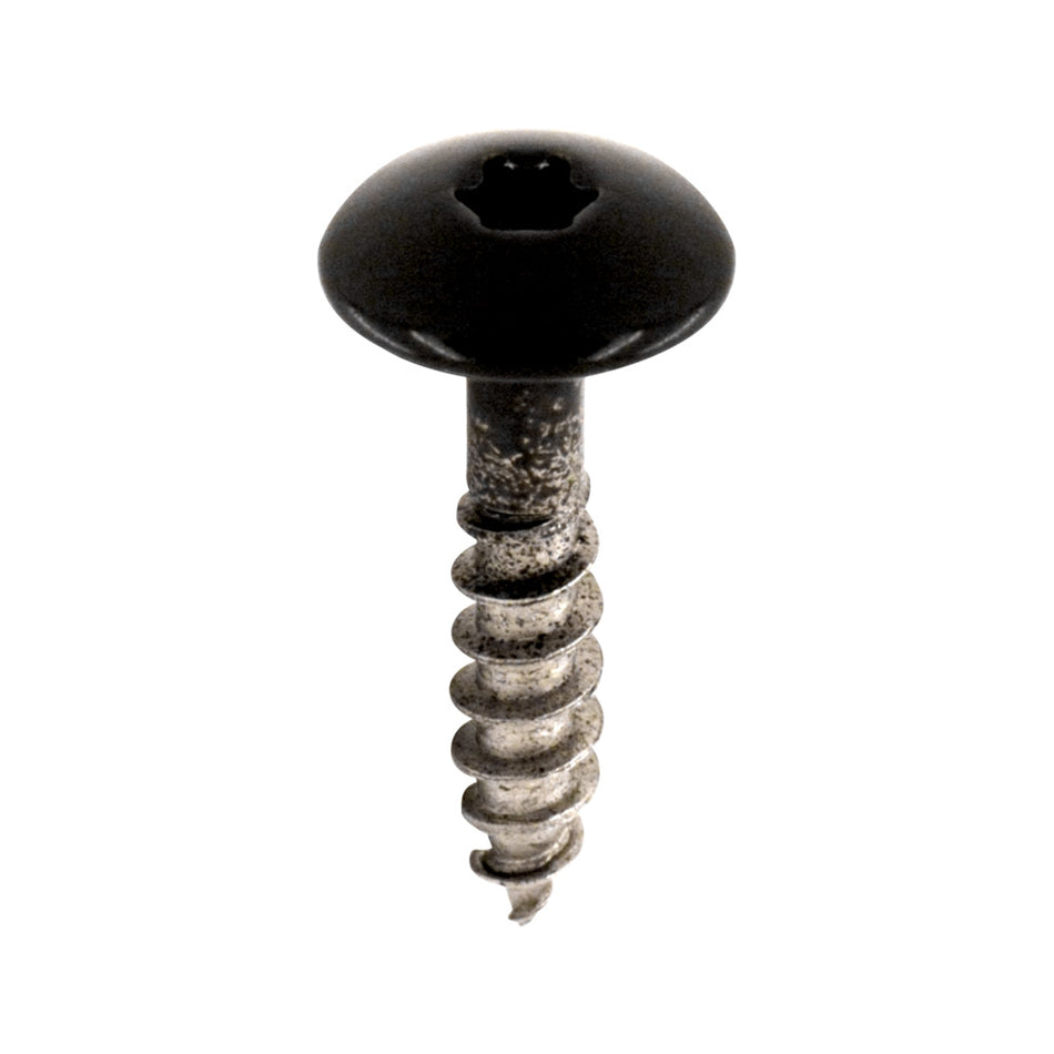 Bouwmaat HPL Schroef RVS Zwart 4,8mm T20 100st-921083