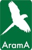 Arama